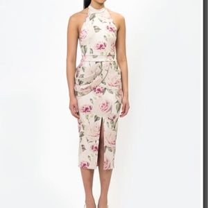 Zhivago Springtime Dress Size XS